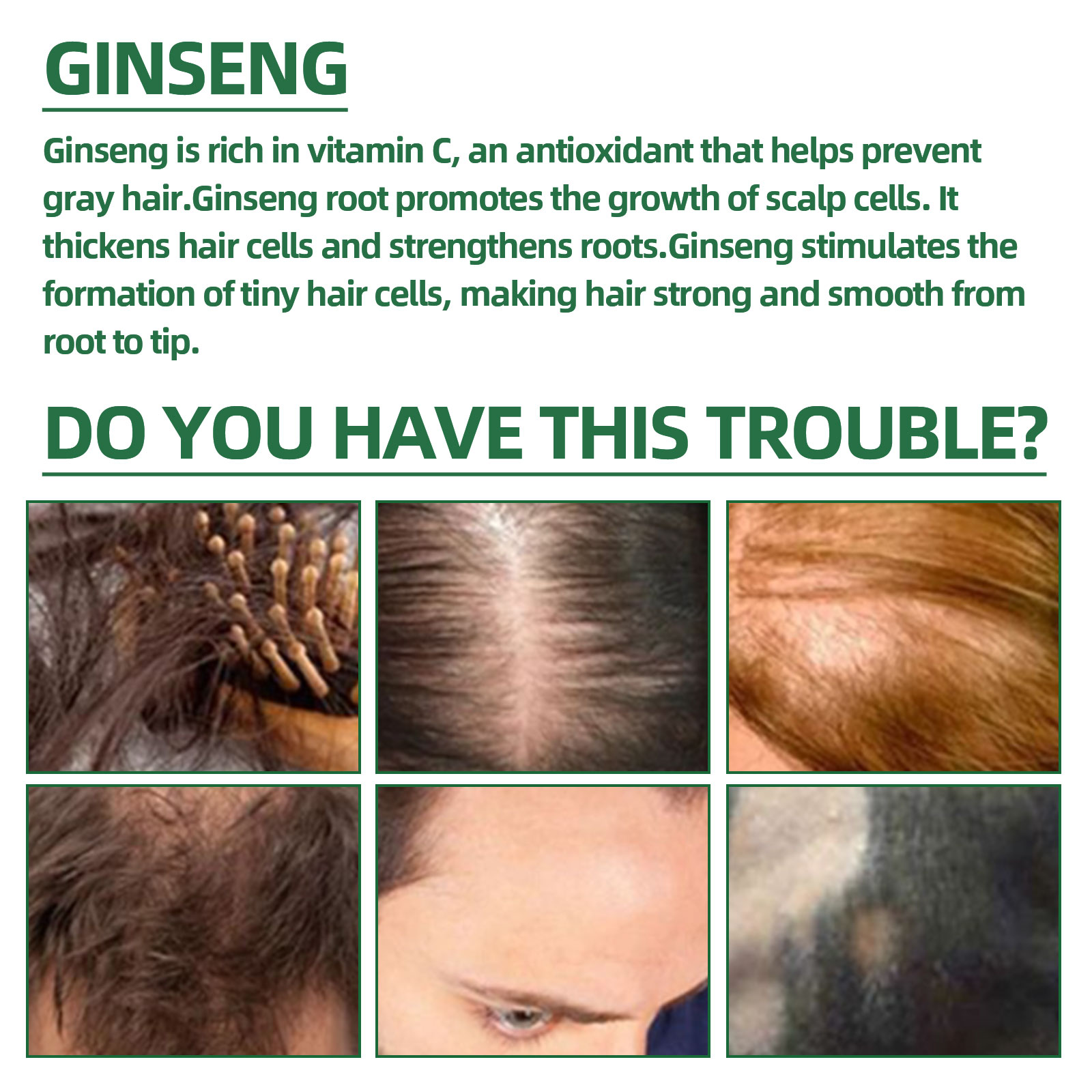 Natürliches pflanzliches Ginse – Hair Care Ginseng Bewertung und Preis