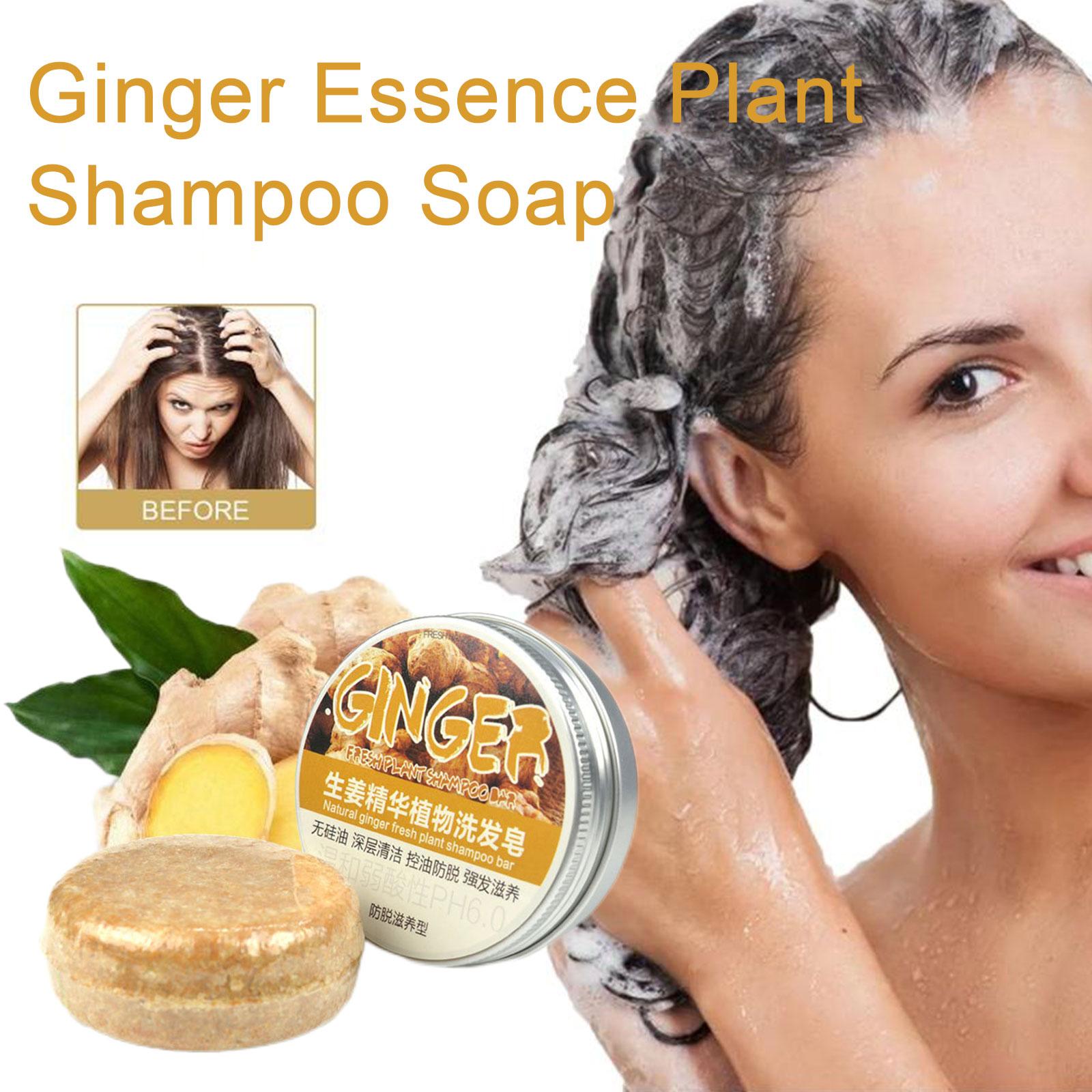 Ingwer Polygonum Seife Shampoo – Hair Care Organic Bewertung und Preis
